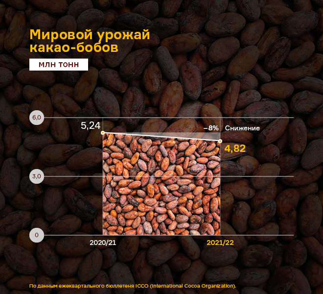 1.1.jpg 1.1.jpg